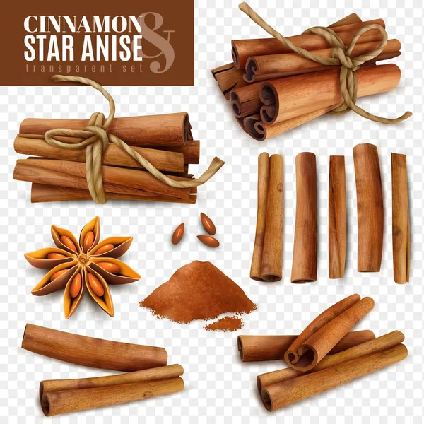 Cinnamon Star Anise Transparent Set — Stock Vector
