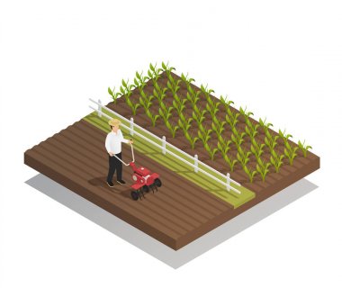 Tarım bahçecilik tarım aletleri kompozisyon