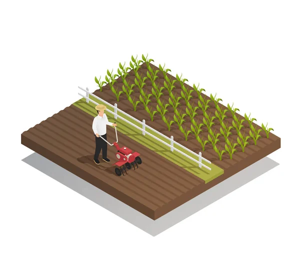 Landwirtschaft Gartenarbeit Zusammensetzung landwirtschaftlicher Geräte — Stockvektor