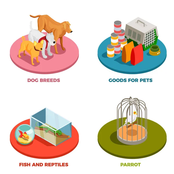 Pet Shop 2x2 Conceito de Design — Vetor de Stock