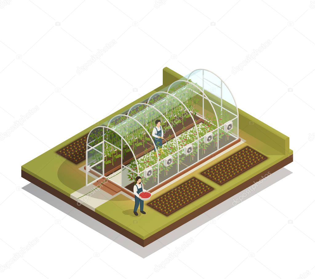 Tunnel Shaped Greenhouse Isometric Composition 