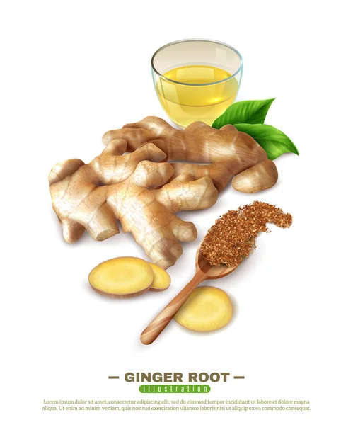 Ginger Root 3D Composition — Stock Vector