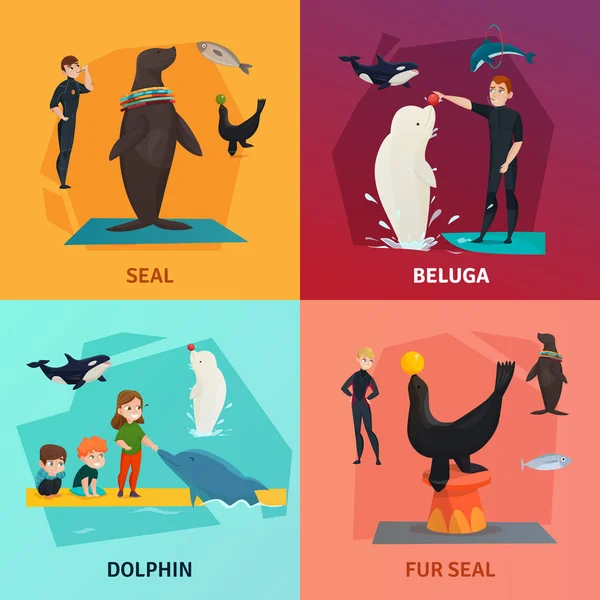 Dolphinarium Show Concept Icons Set — Stock Vector