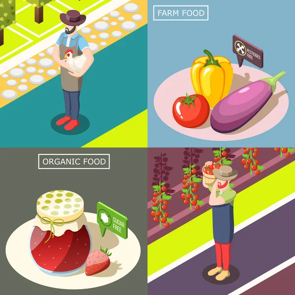 有机食品等距设计理念 — 图库矢量图片
