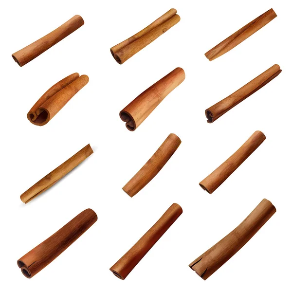 Cinnamon Sticks Set — Stock Vector