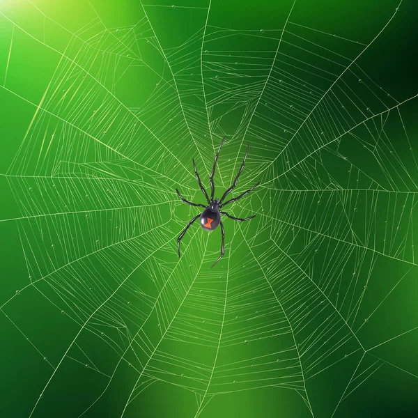 Spin zijn realistische webachtergrond weven — Stockvector