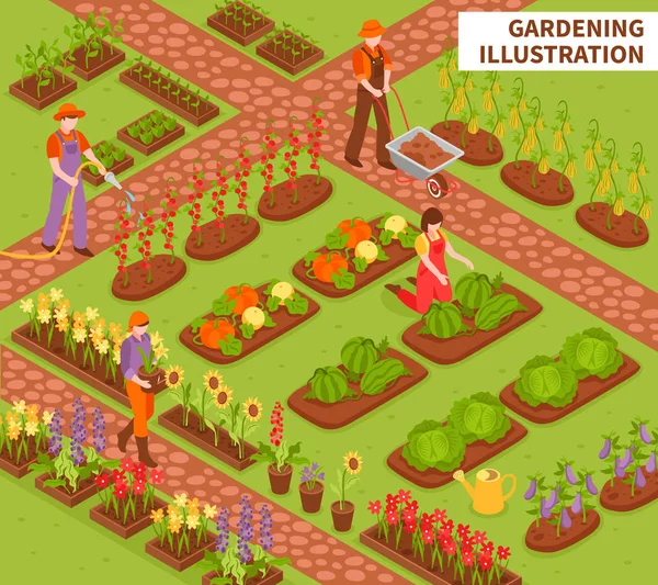 Jardinería Composición isométrica — Vector de stock