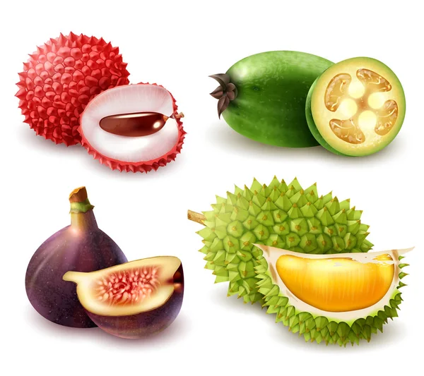 Set de frutas exóticas realistas — Vector de stock