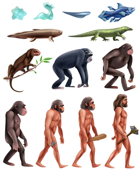 Darwin evoluce Icon Set — Stockový vektor