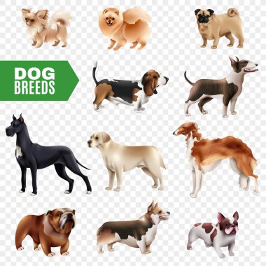 Köpek doğurmak şeffaf simge seti