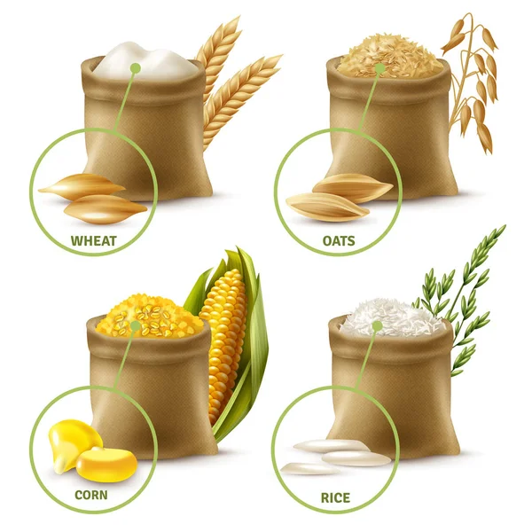 Conjunto de cereales agrícolas — Vector de stock