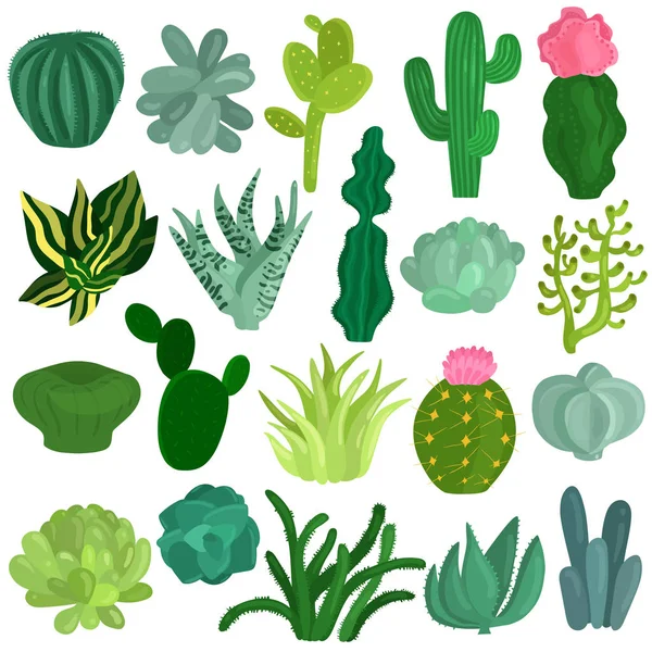 Cacti suculentas plantas conjunto plano —  Vetores de Stock