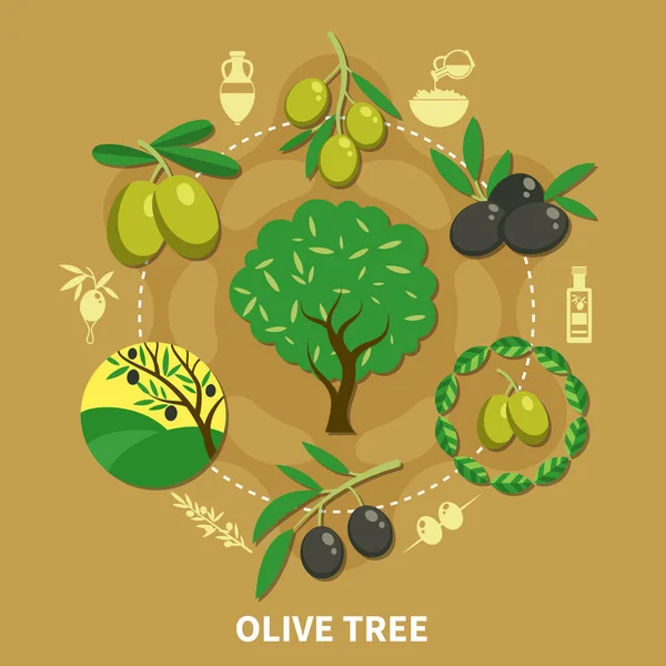 Olive Tree kolo složení — Stockový vektor