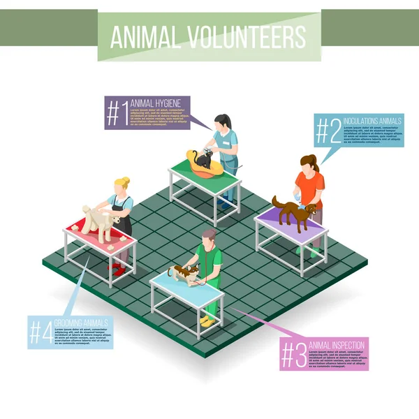 Hayvanlar gönüllü izometrik Infographics — Stok Vektör