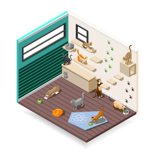 Home For Cats Isometric Composition — Stock Vector