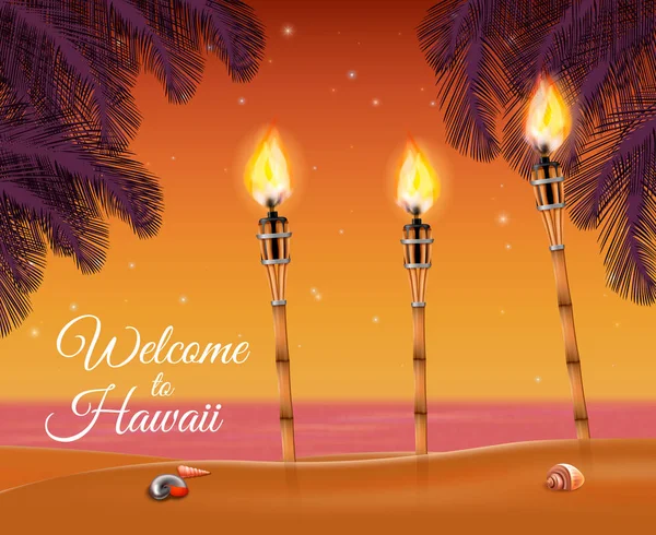 Hawaii Beach Torche Contexte — Image vectorielle