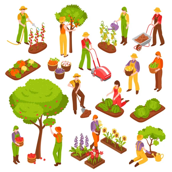 Conjunto Isométrico de Jardinagem —  Vetores de Stock