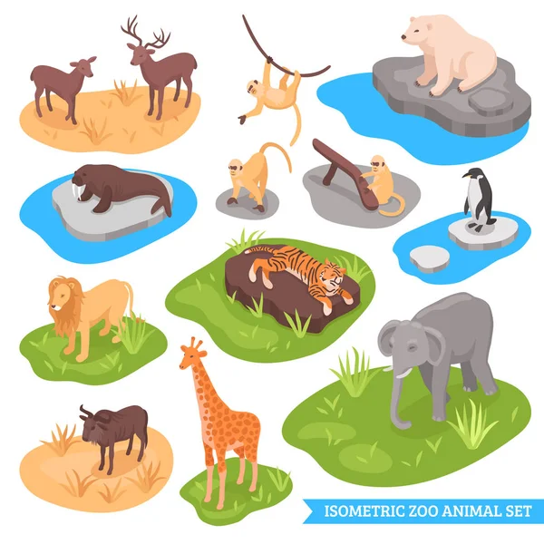 Izometrikus Zoo állati készlet — Stock Vector