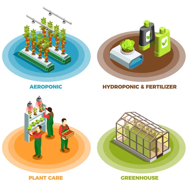 Hydroponiska och Aeroponic 2 x 2 designkoncept — Stock vektor