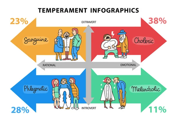 Tipos de Temperamento Infográficos — Vetor de Stock