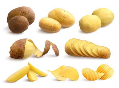 Ham ve kızarmış patates gerçekçi kümesi 