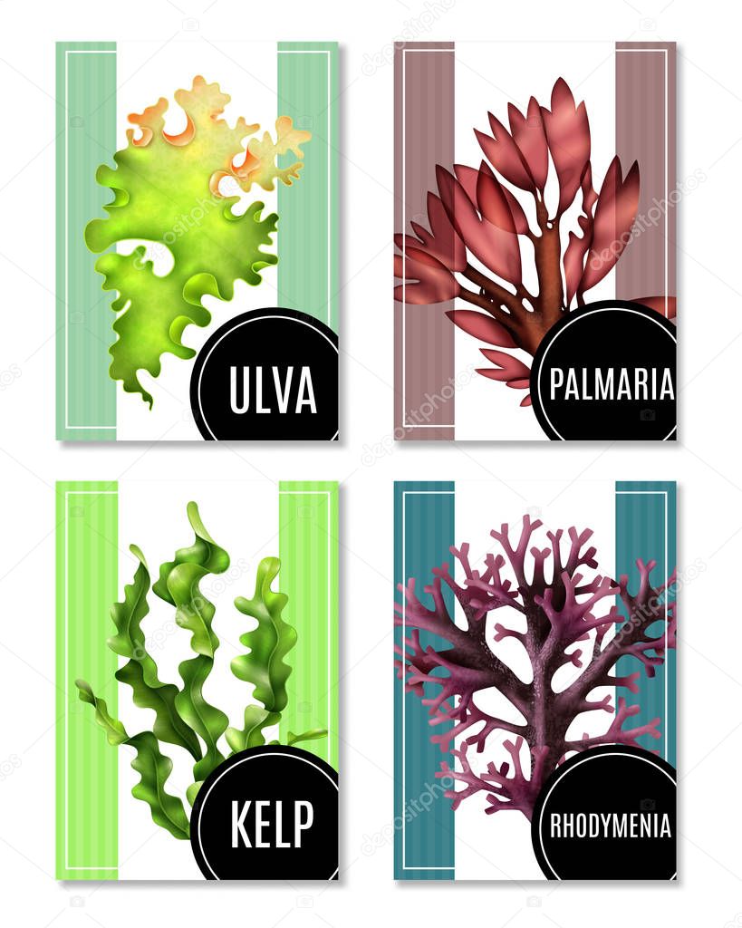 Realistic Sea Weeds Posters Set