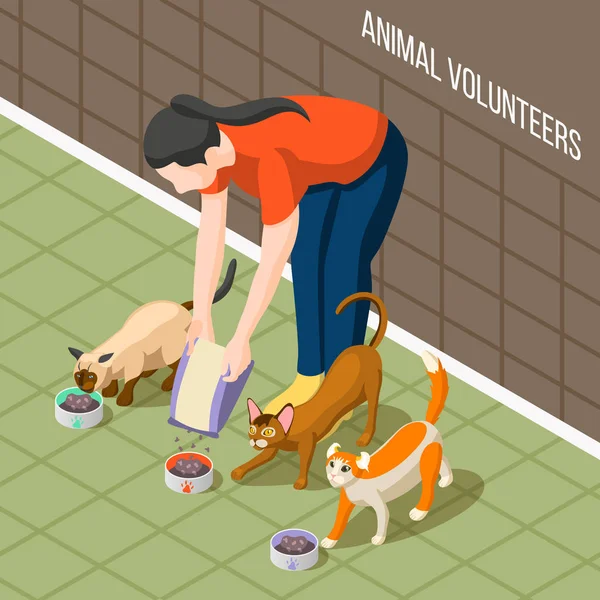 Volontariato per gatti Sfondo isometrico — Vettoriale Stock