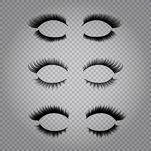 Realistic False Eye Lashes Set — Stock Vector