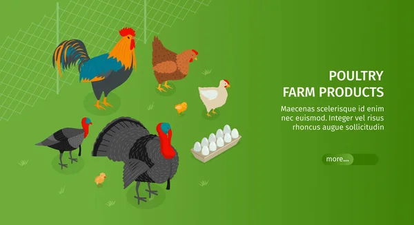 Banner de productos de granja avícola — Vector de stock