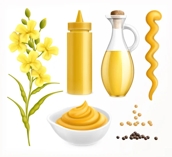 Ensemble de moutarde réaliste — Image vectorielle