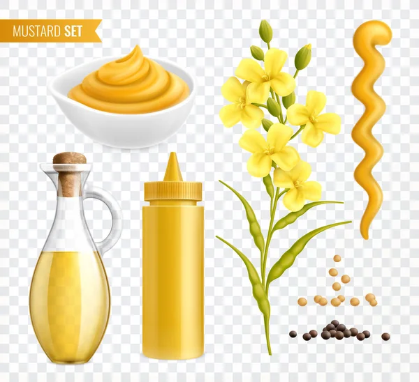 Mustard Transparent Realistic Set — 图库矢量图片