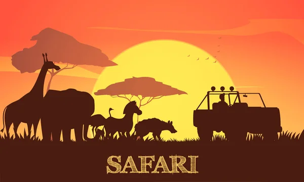 Safari Sunset poszter — Stock Vector