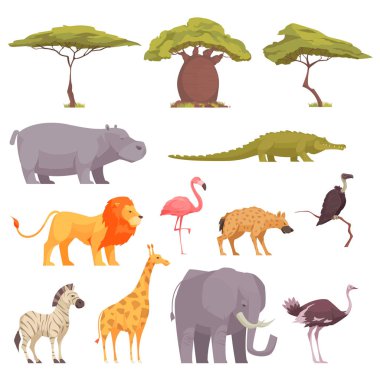 Safari Flora Fauna Seti