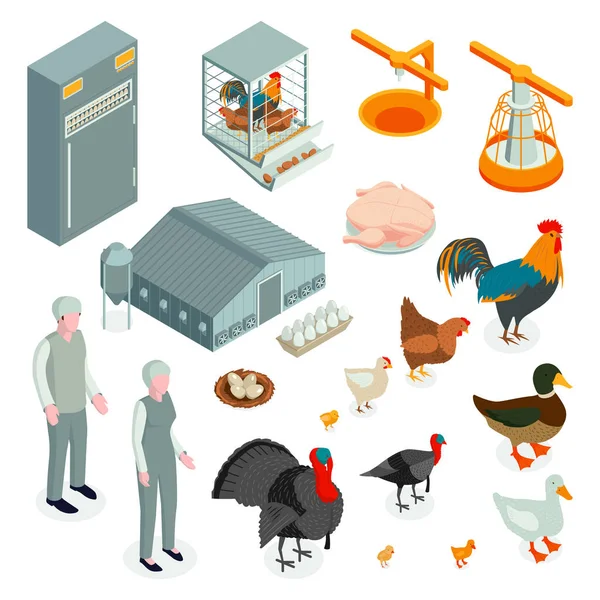 Icônes isométriques de la ferme avicole — Image vectorielle