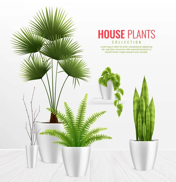 Plantes de maison dans le pot Composition Concept réaliste — Image vectorielle