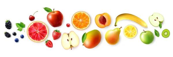 Gyümölcsök és bogyók — Stock Vector