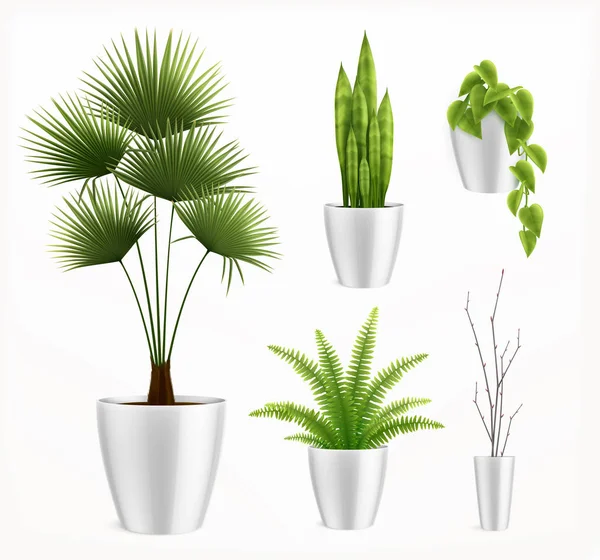 Plantas da casa na composição realista do potenciômetro — Vetor de Stock