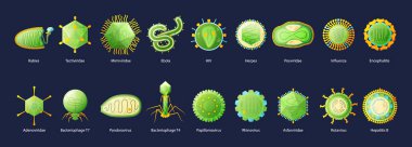 Viruses Educative Set  clipart
