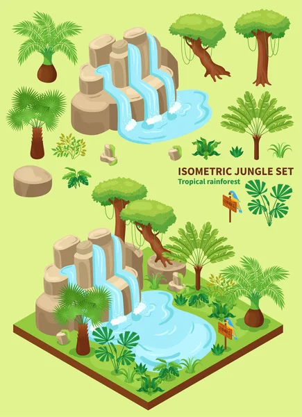 Izometryczna kolekcja elementów dżungli — Wektor stockowy