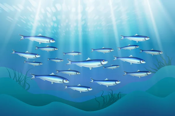Рыбная колония Ocean Realistic — стоковый вектор