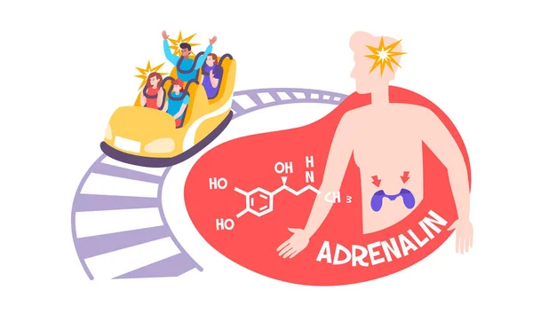 Adrenalin Hormon ploché složení — Stockový vektor