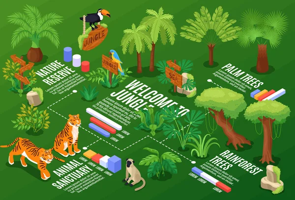 Isometric Jungle Flowchart Composition — 스톡 벡터