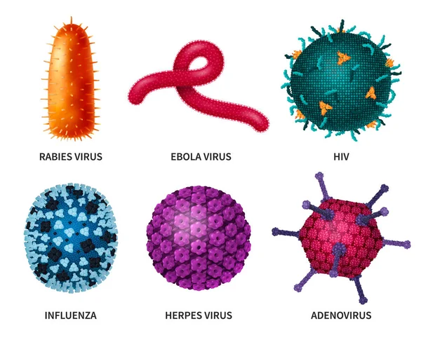 Conjunto realista de virus bacterianos — Archivo Imágenes Vectoriales