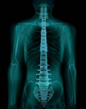 Omurga X-Ray Gerçekçi Görüntü 