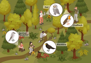 Kuşbilimci Birds Isometric Composition 