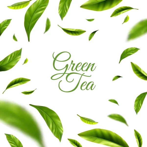 Hintergrund Grüner Tee — Stockvektor