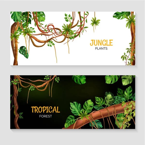 Liana Jungle Realistic Banners — ストックベクタ