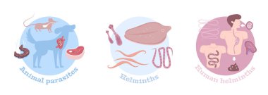 Helminths Worms Düz Kompozisyonları 