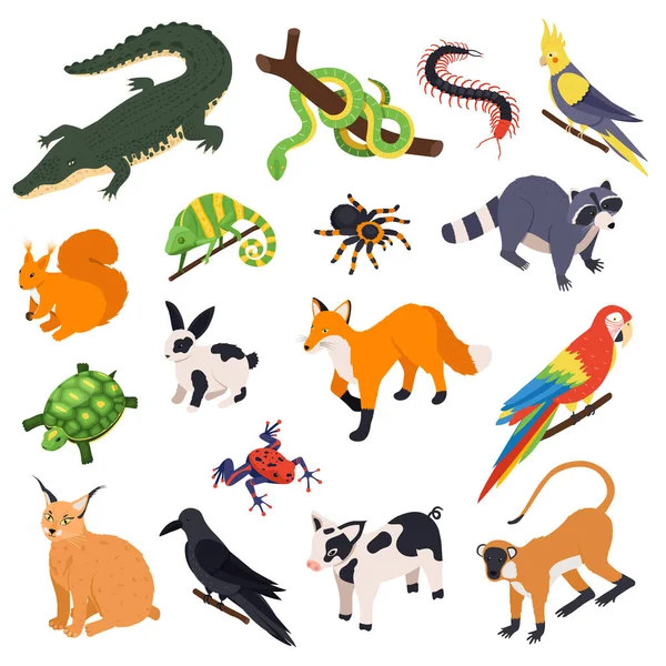 Изометрический набор экзотических животных — стоковый вектор