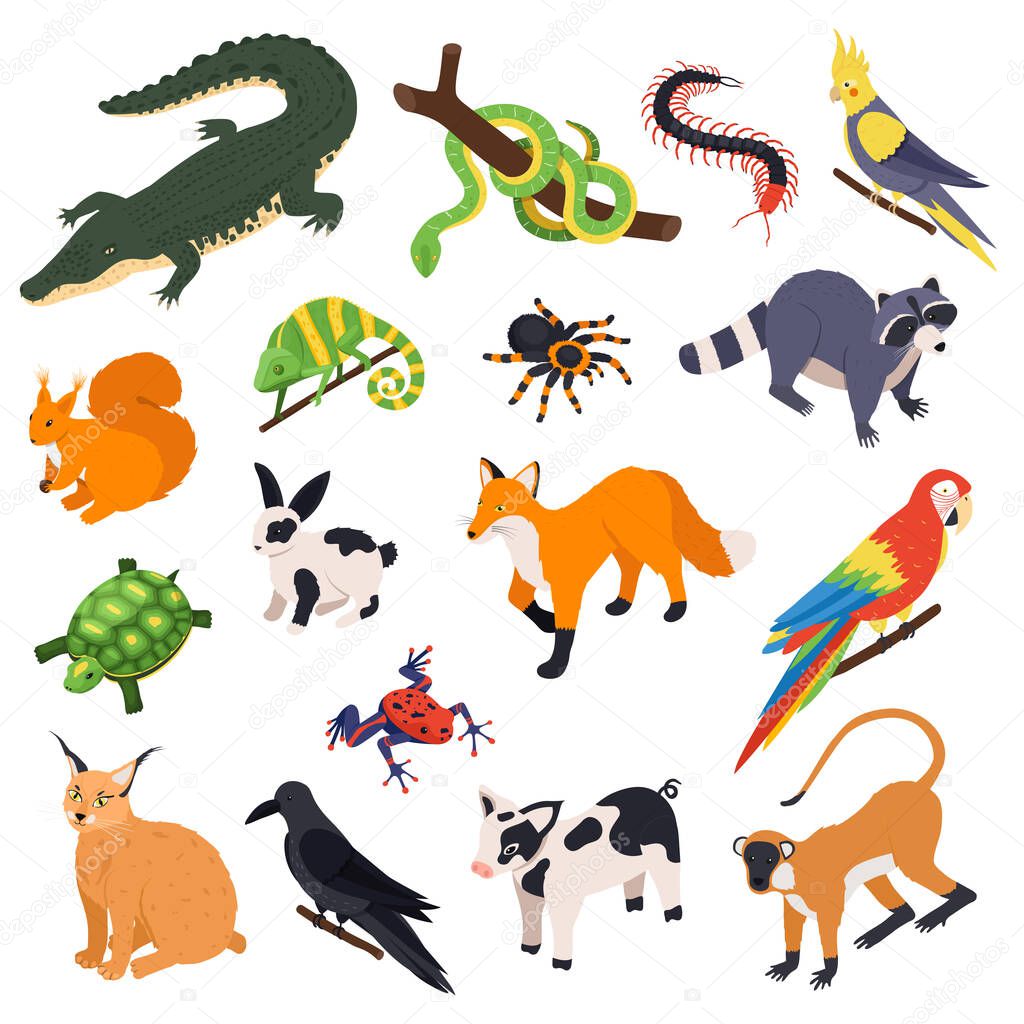 Exotic Pets Isometric Set 